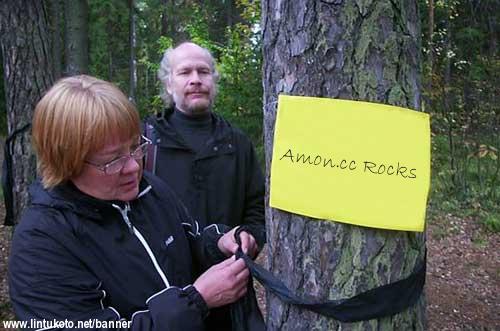 Amon.cc Rocks