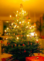 Weihnachtsbaum - Malene Thyssen, www.mtfoto.dk/malene/ 