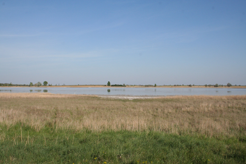 Steppe im Burgenland