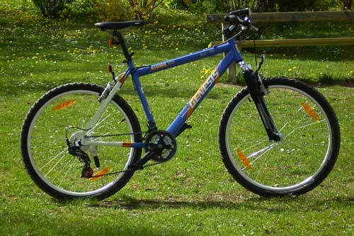 Mein Mountainbike (Archivbild)