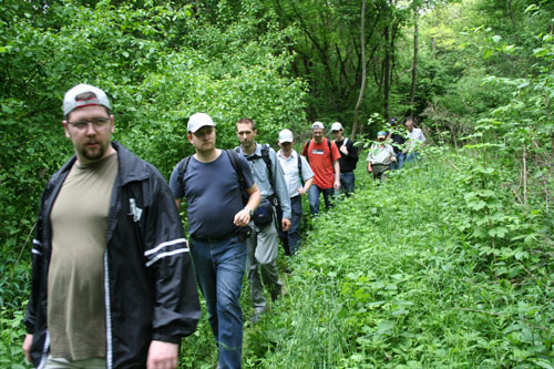 Auwanderung