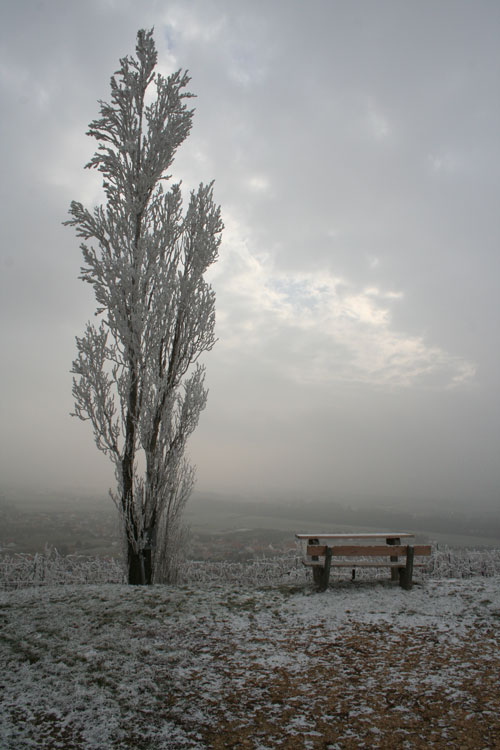 Aussichtspunkt nahe Krems / viewpoint close to Krems