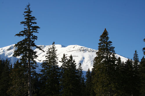 Ein Blick in die Berge von unten.