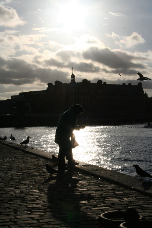 A woman feeding gull