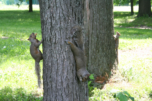 Hanging around in Montreal