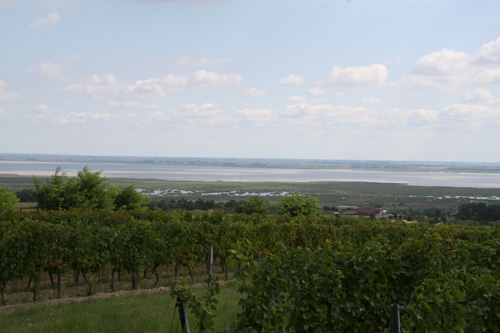 Neusiedlersee