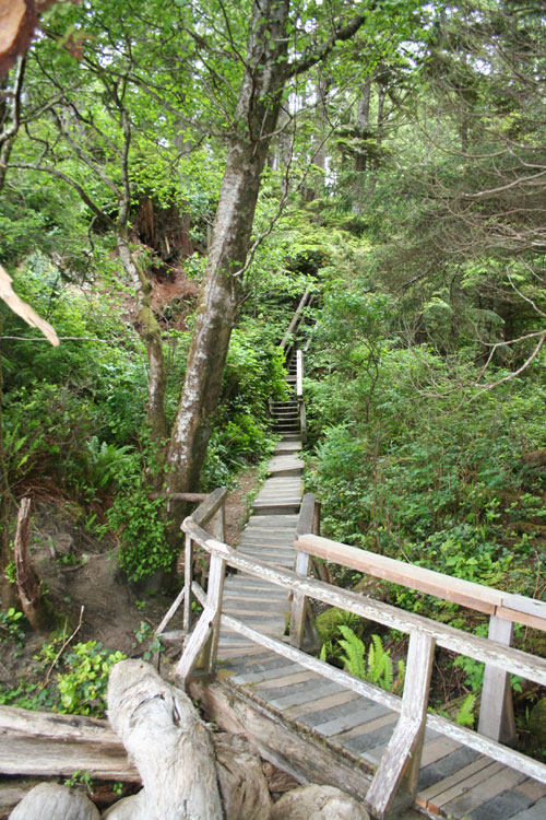 The way to the beach