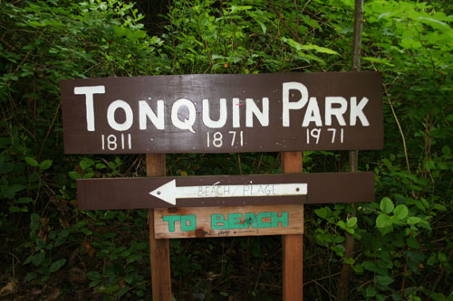 Tonquin Park beach