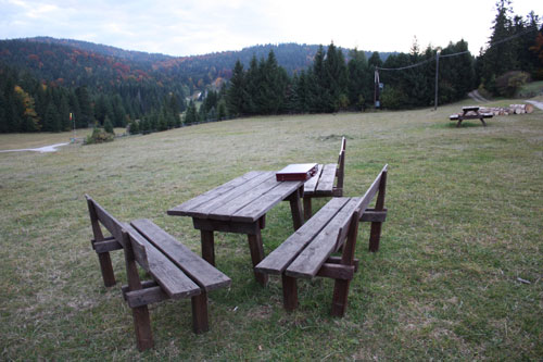 Im Naturschutzgebiet Hohe Wand, wo kein Fremdlicht stört