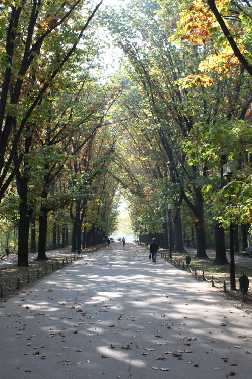 Herastrau Park