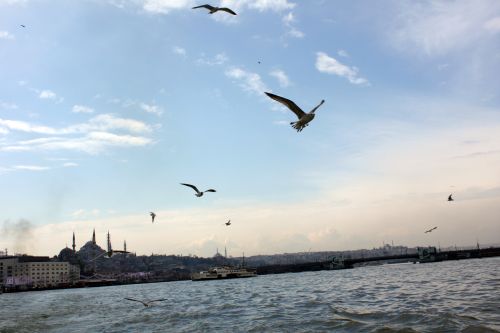 Crossing the river