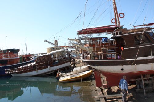 Ships in the habour