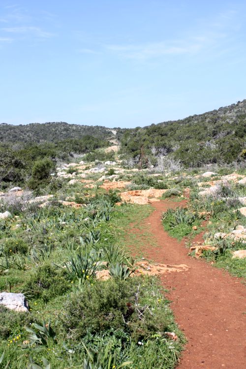 Hiking up the mountain