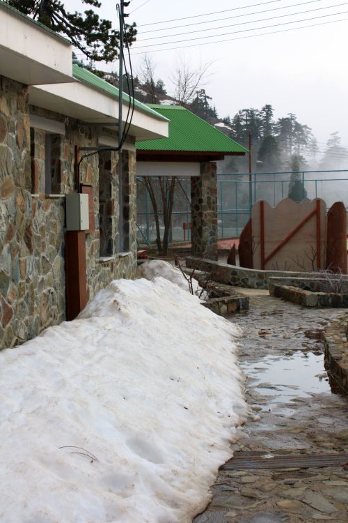 Snow in Troodos mountains