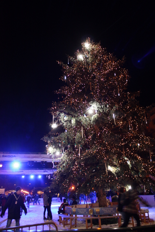 Ice skating in Bratislava around the x-mas tree